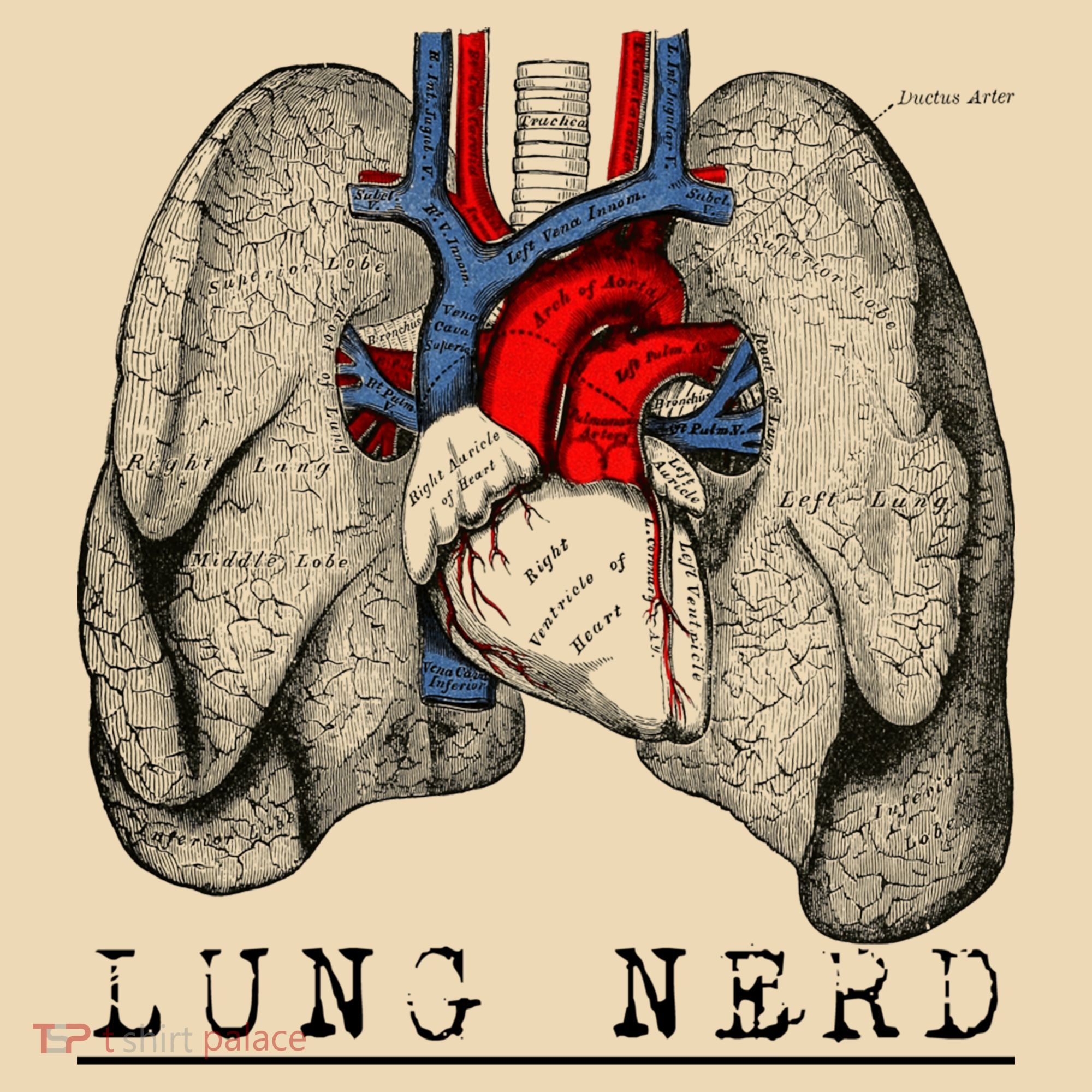 Funny Respiratory Therapist Lung Nerd Fun Rt Cute Gift Tote Bag