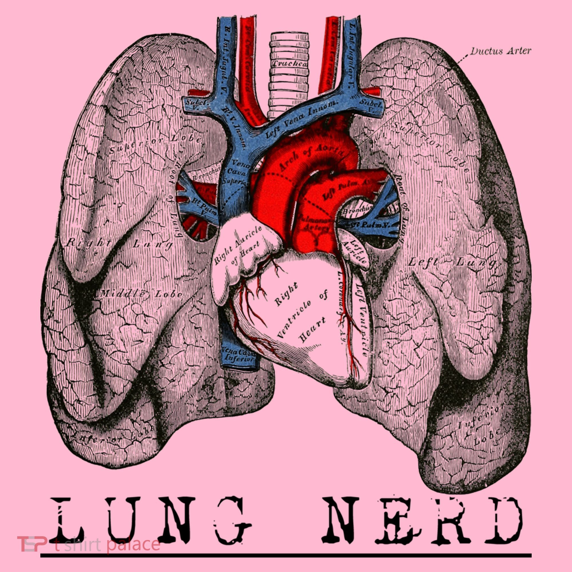 Funny Respiratory Therapist Lung Nerd Fun Rt Cute Gift Coaster