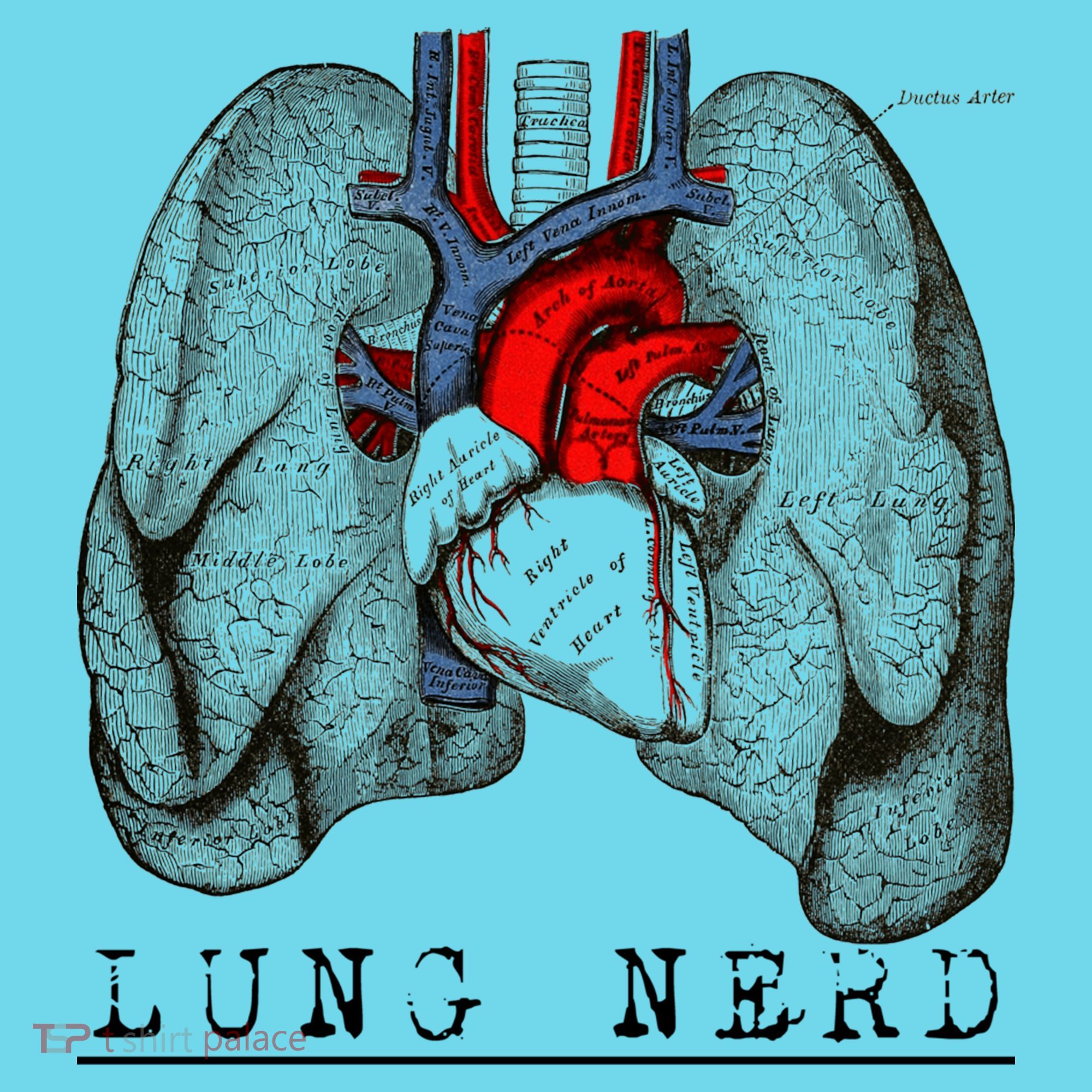 Funny Respiratory Therapist Lung Nerd Fun Rt Cute Gift Long Sleeve Shirt