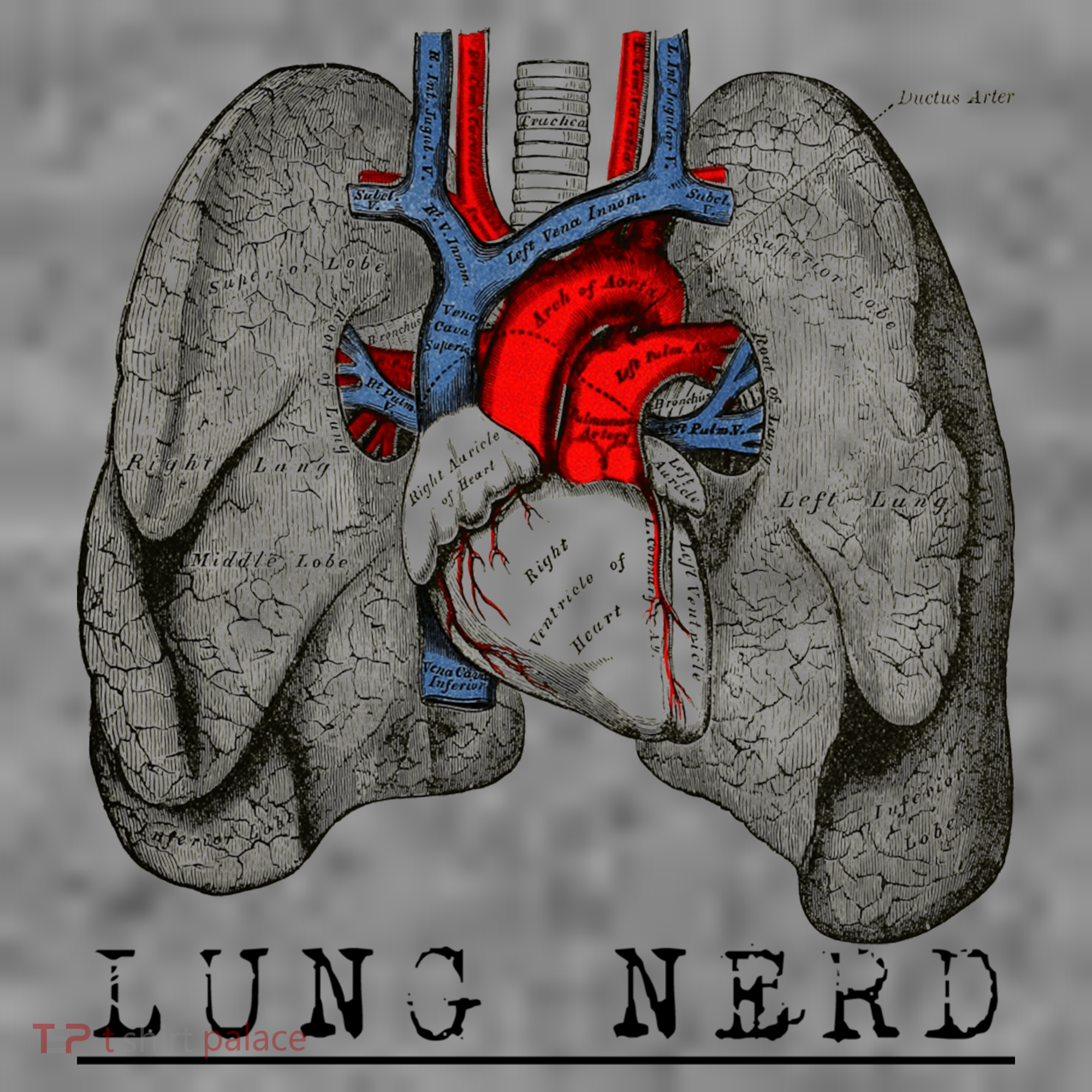 Funny Respiratory Therapist Lung Nerd Fun Rt Cute Gift Toddler Hoodie