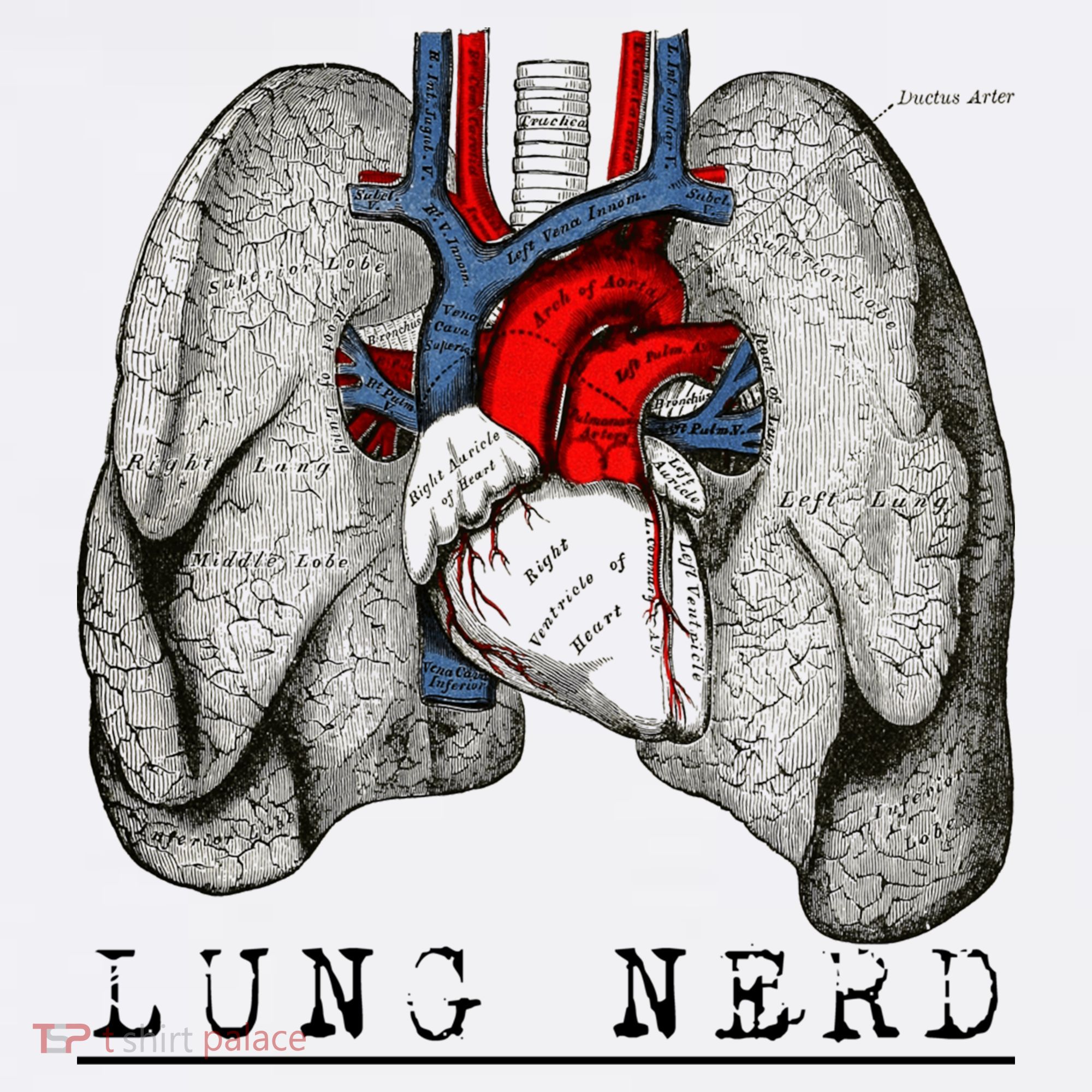 Funny Respiratory Therapist Lung Nerd Fun Rt Cute Gift Visor