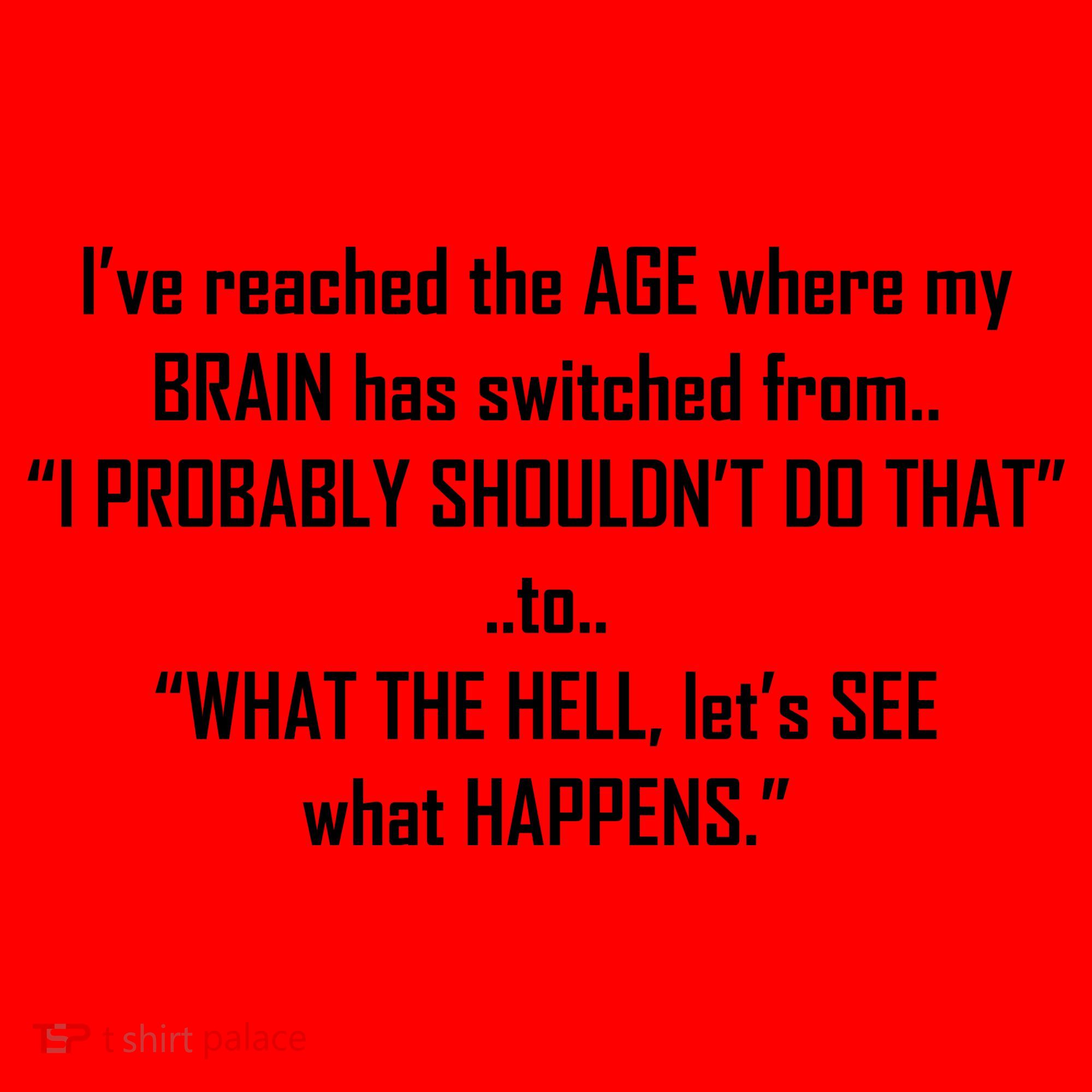 Funny Reached The Age Quote Santa Hat