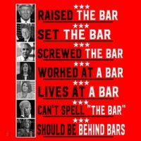 Funny Raised The Bar Donald Trump Women's T-Shirt thumb 6