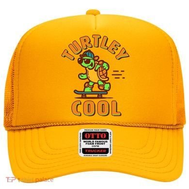 Funny Retro Turtley Cool Skateboarding Turtle Hat