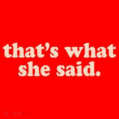 Funny Retro That's What She Said Santa Hat