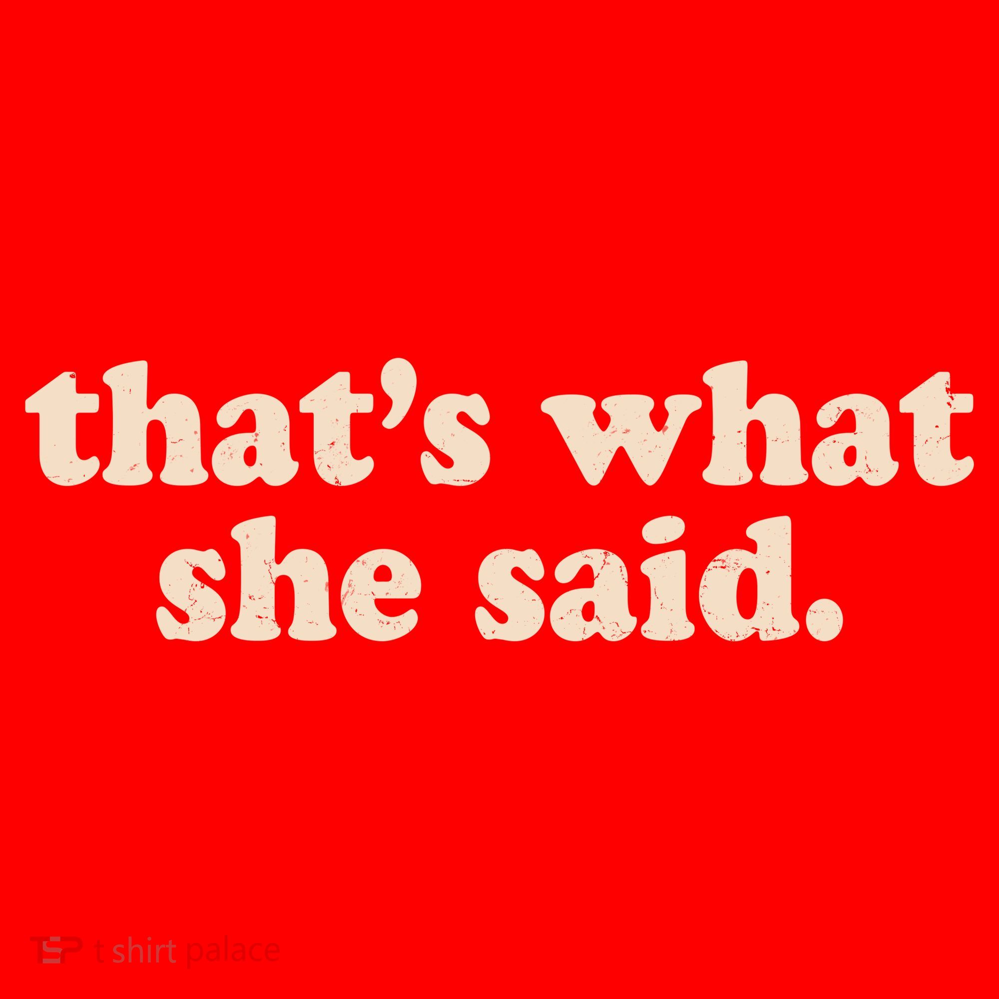 Funny Retro That's What She Said Santa Hat