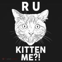 Funny R U Kitten Me Are You Kidding Me Cat Hoodie thumb 2