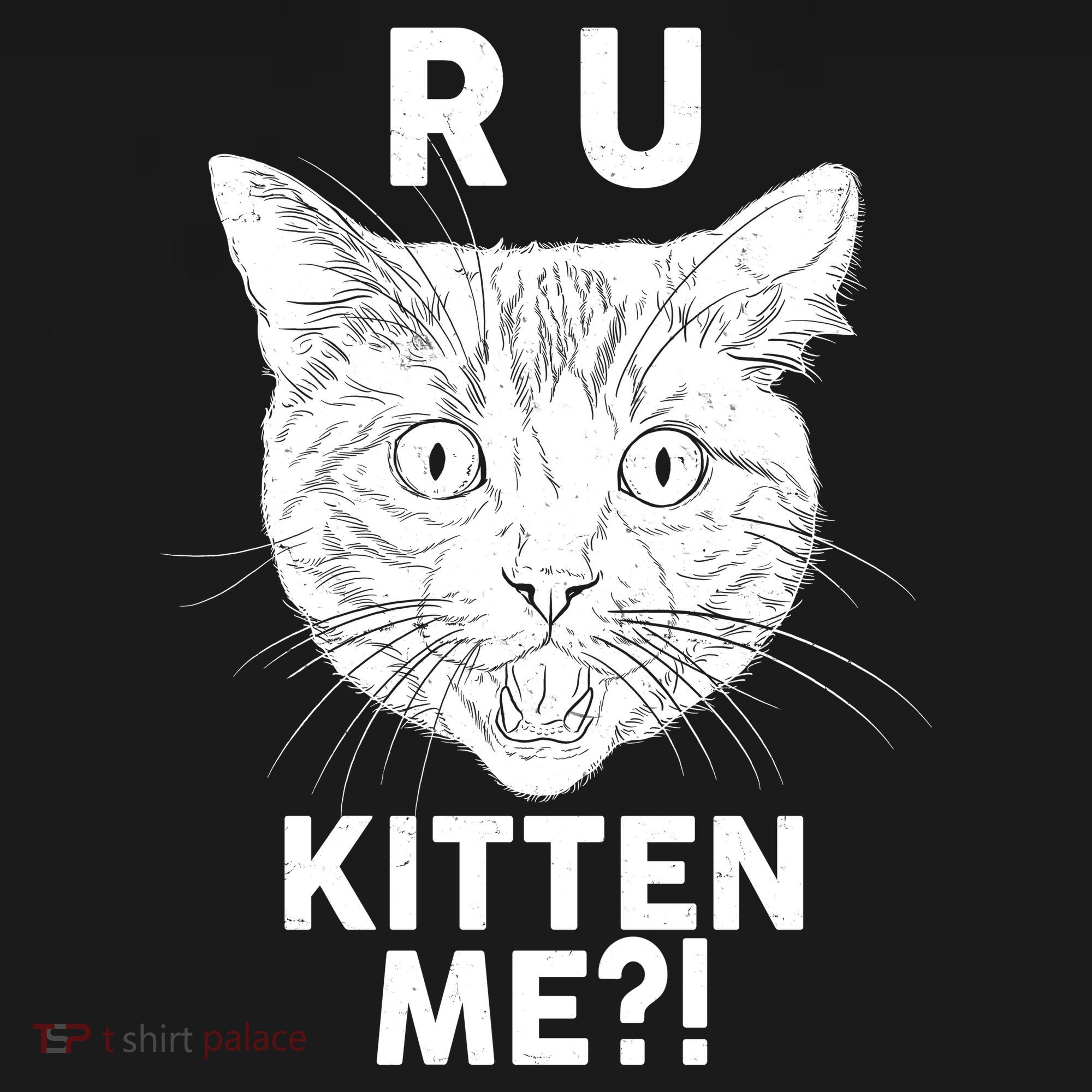 Funny R U Kitten Me Are You Kidding Me Cat Apron