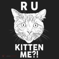 Funny R U Kitten Me Are You Kidding Me Cat Hat thumb 2