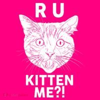 Funny R U Kitten Me Are You Kidding Me Cat Long Sleeve Shirt thumb 2