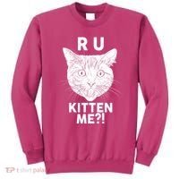 Funny R U Kitten Me Are You Kidding Me Cat Sweatshirt thumb 0