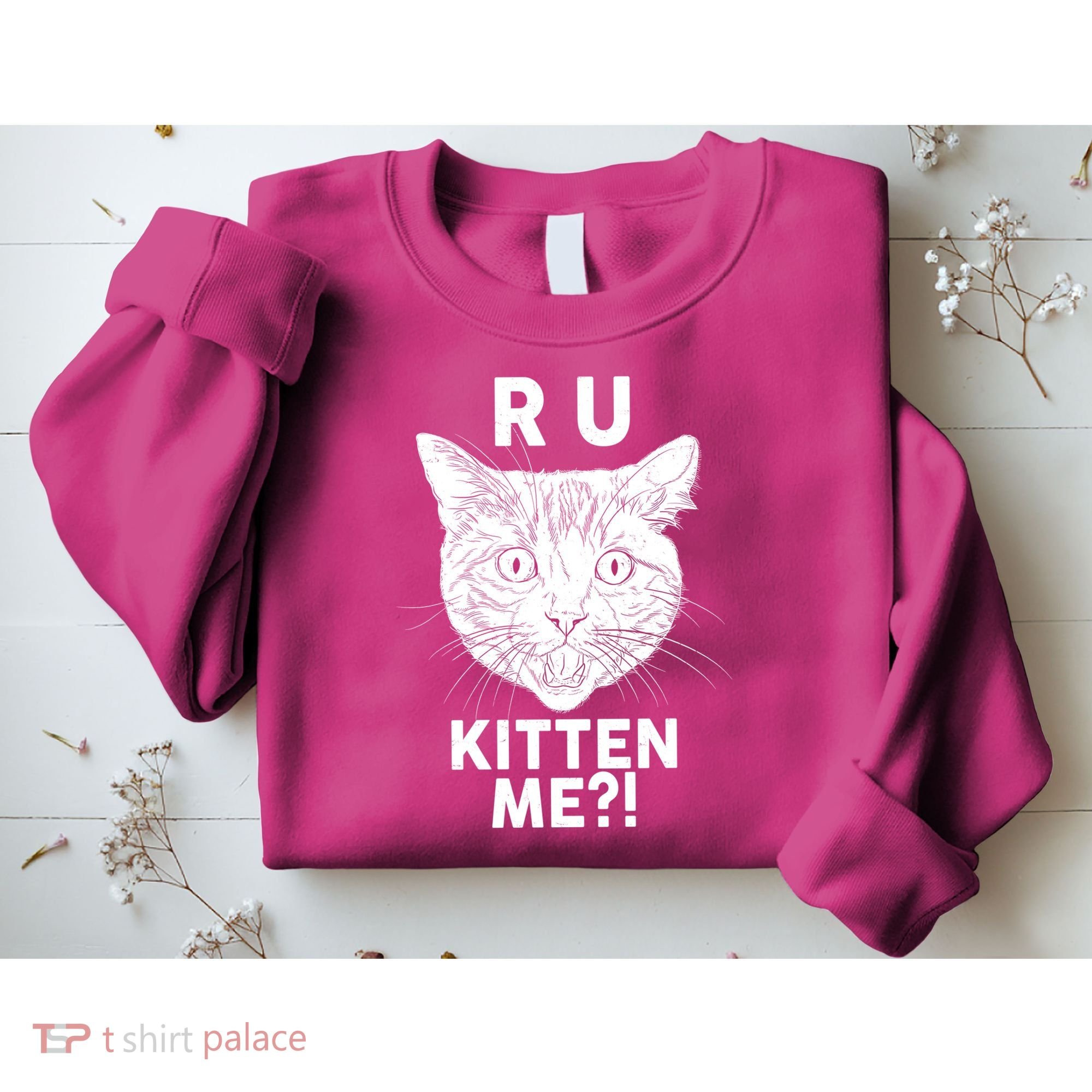 Funny R U Kitten Me Are You Kidding Me Cat Sweatshirt