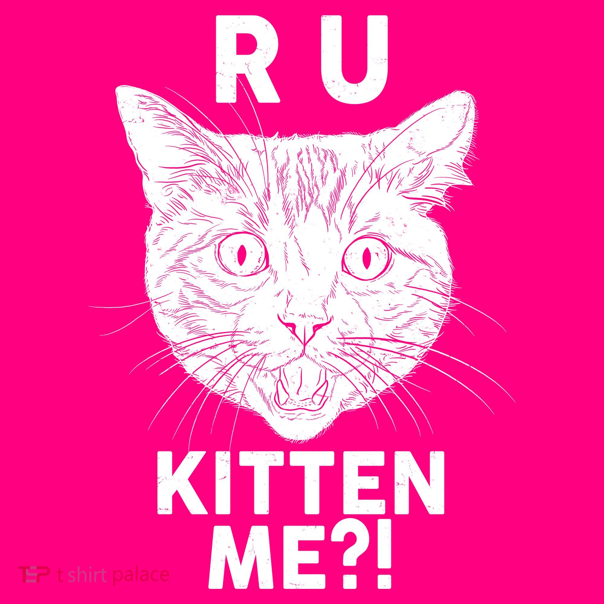Funny R U Kitten Me Are You Kidding Me Cat Toddler T-Shirt