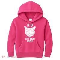Funny R U Kitten Me Are You Kidding Me Cat Kids Hoodie thumb 0