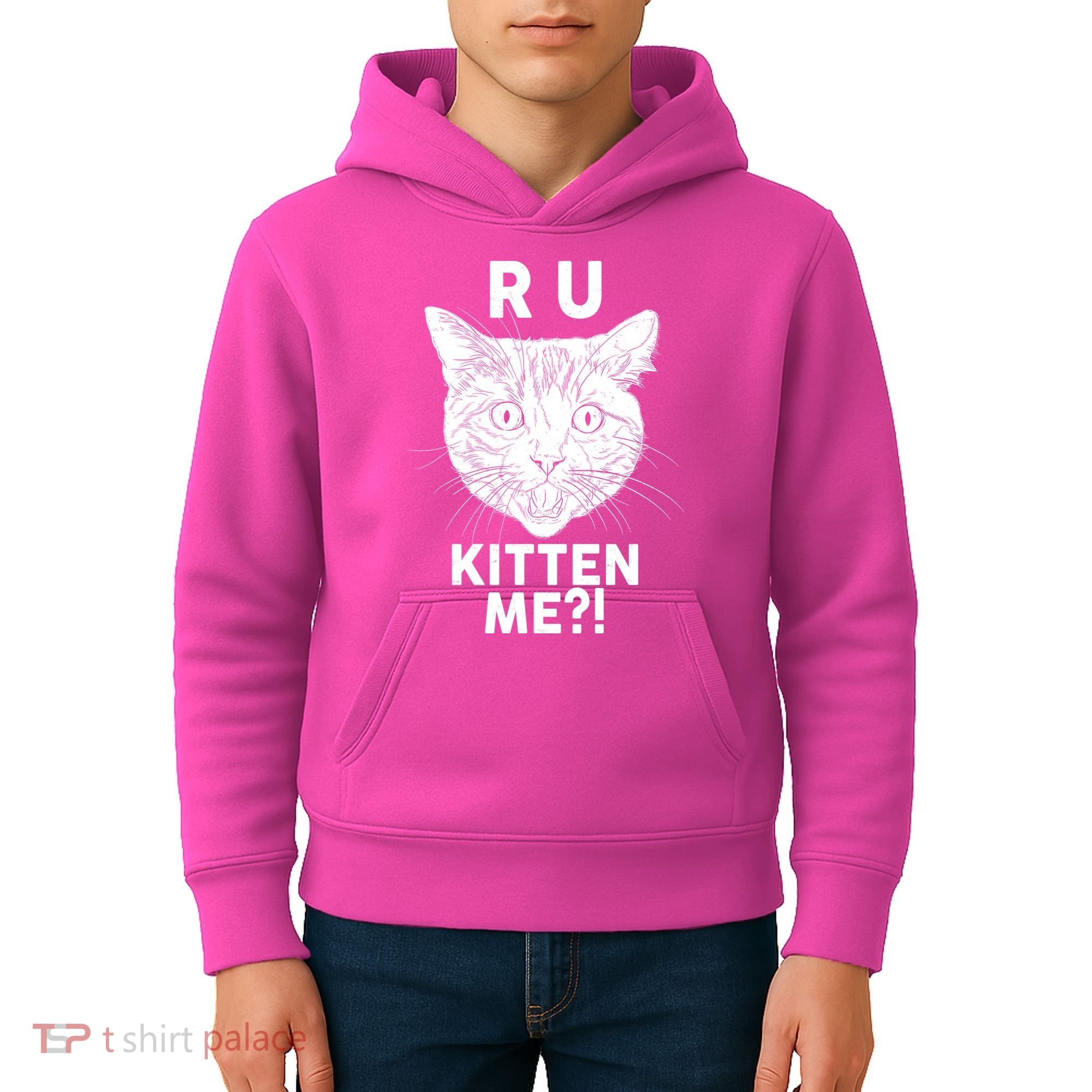 Funny R U Kitten Me Are You Kidding Me Cat Kids Hoodie