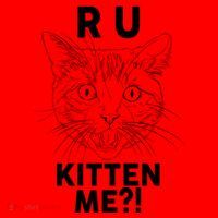 Funny R U Kitten Me Are You Kidding Me Cat Santa Hat thumb 1