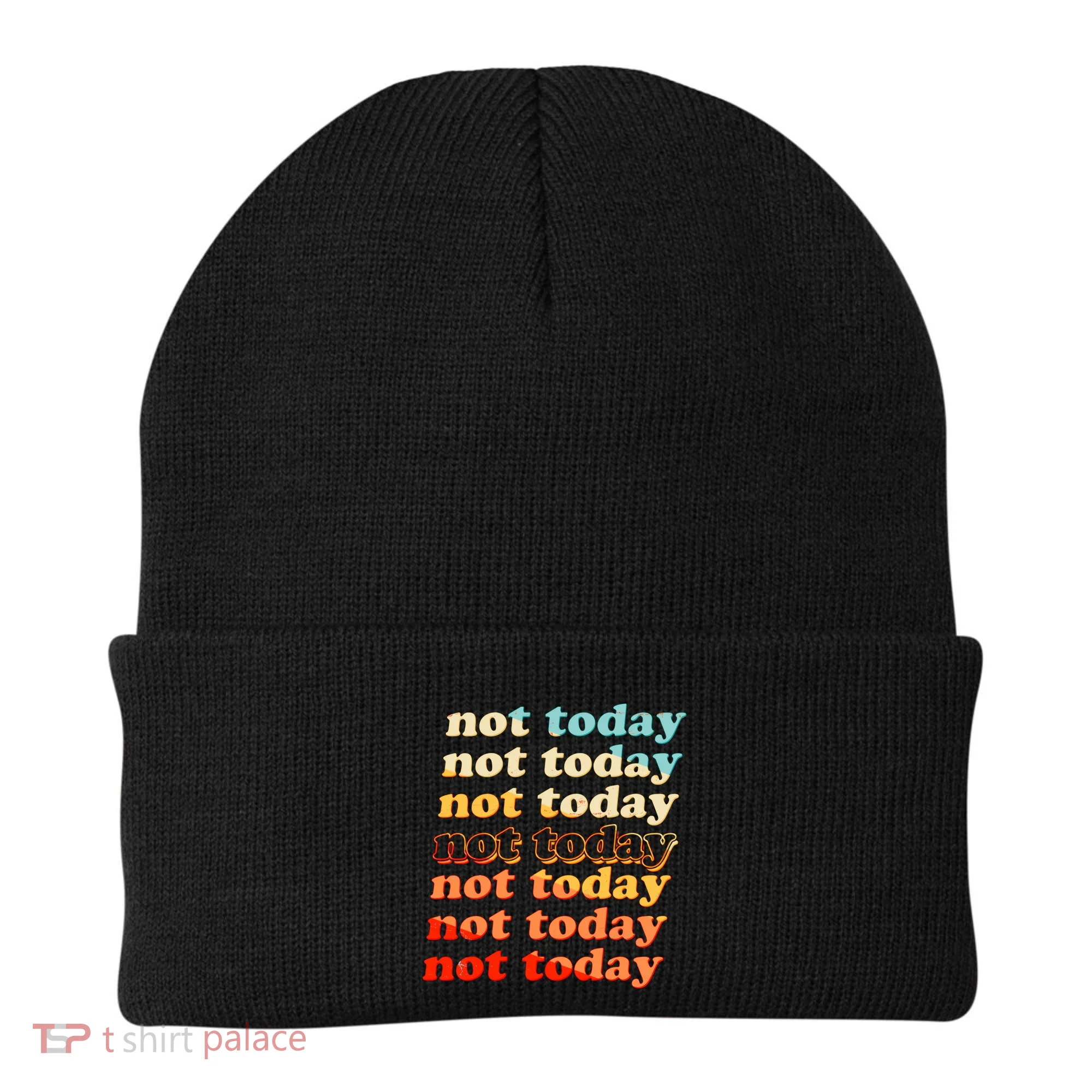 Funny Retro Vintage Not Today Beanie