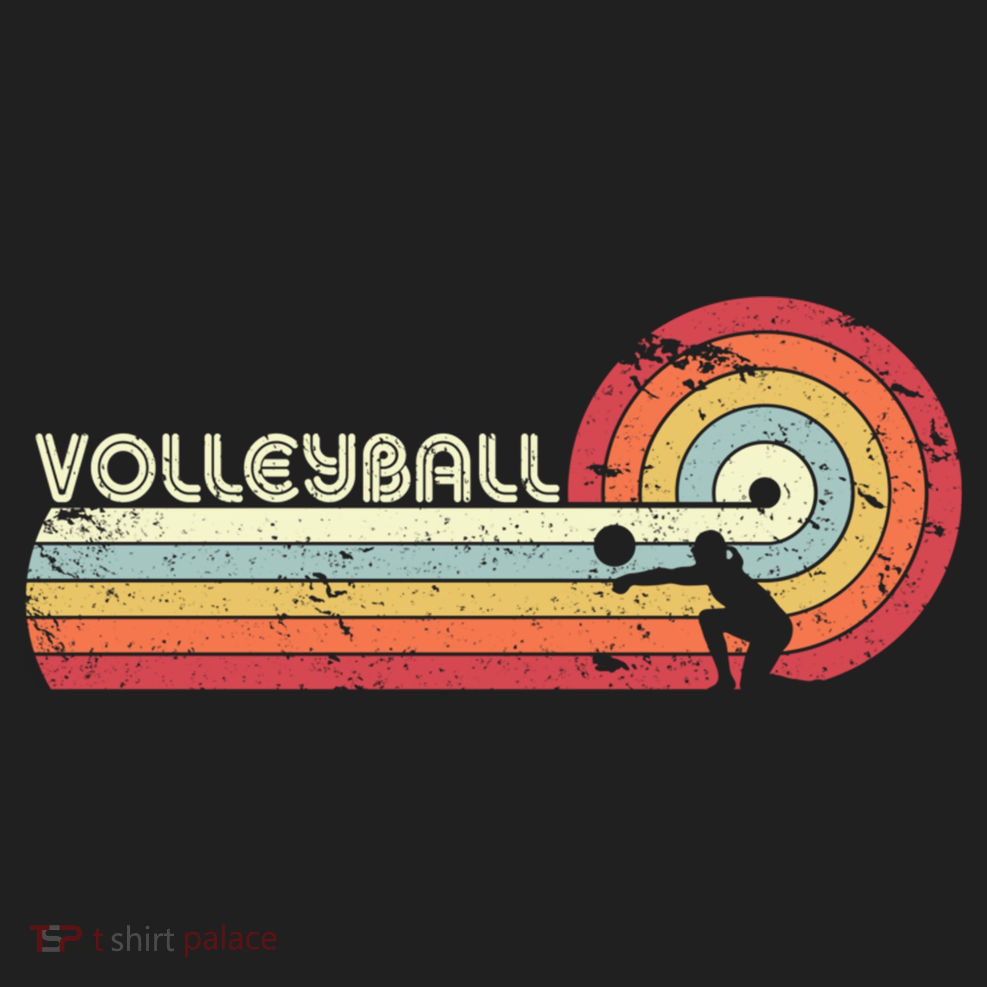 Funny Retro Volleyball Gift Beanie