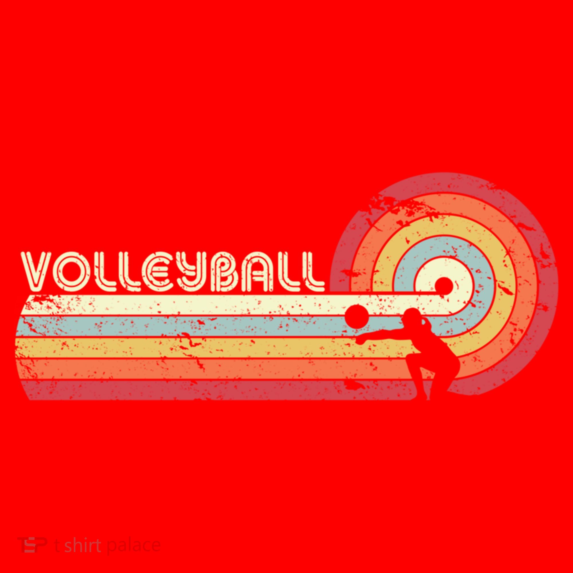Funny Retro Volleyball Gift Santa Hat