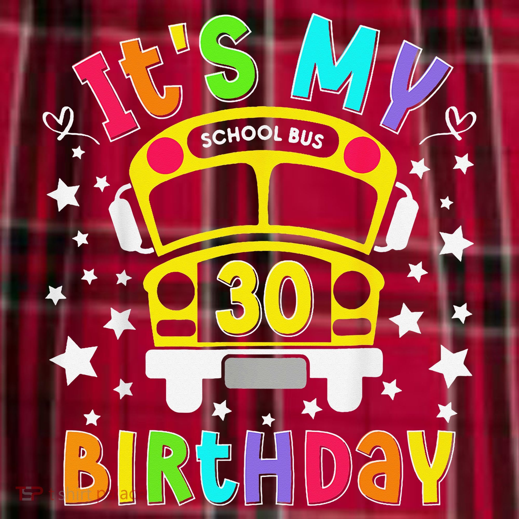 Funny School 30th Birthday Party School Bus Teacher Student Women's Flannel Plaid Pajama Pants
