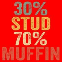 Funny Sarcastic 30% Stud 70% Muffin Retro Dad Father Figure Gift Santa Hat thumb 1