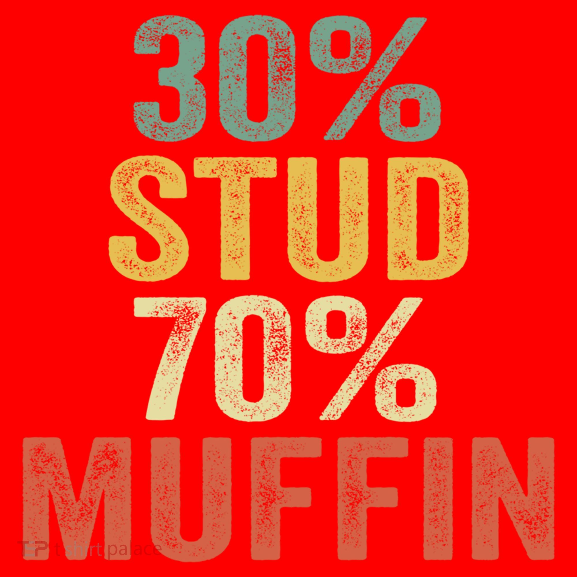 Funny Sarcastic 30% Stud 70% Muffin Retro Dad Father Figure Gift Santa Hat