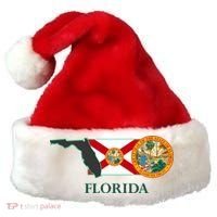 Florida Seal And Flag Santa Hat thumb 0