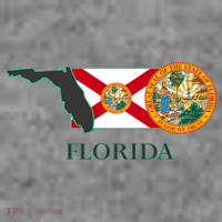 Florida Seal And Flag Long Sleeve Shirt thumb 2