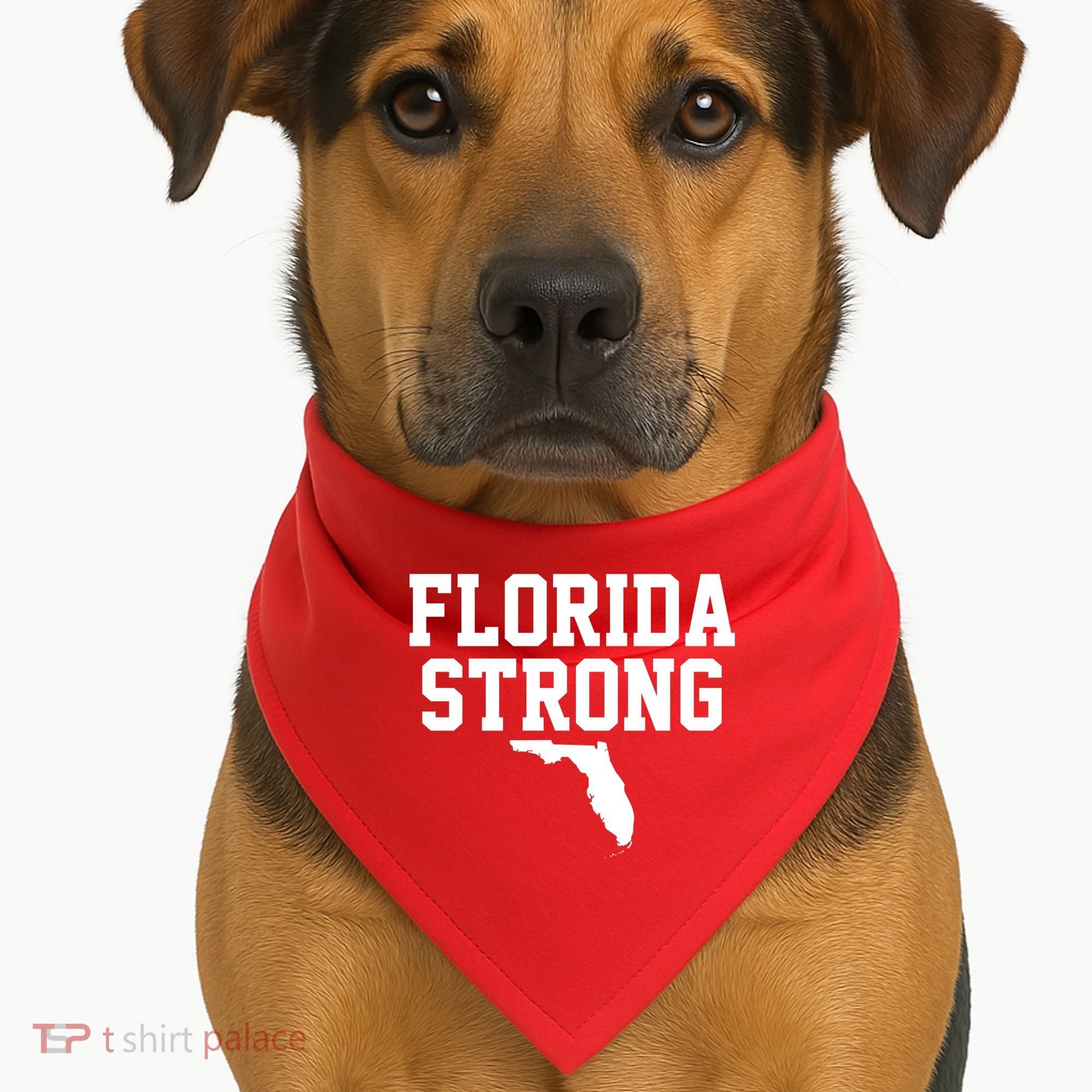 Florida Strong Awareness Hurricane Milton USA-Made Doggie Bandana