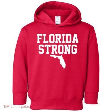 Florida Strong Awareness Hurricane Milton Toddler Hoodie