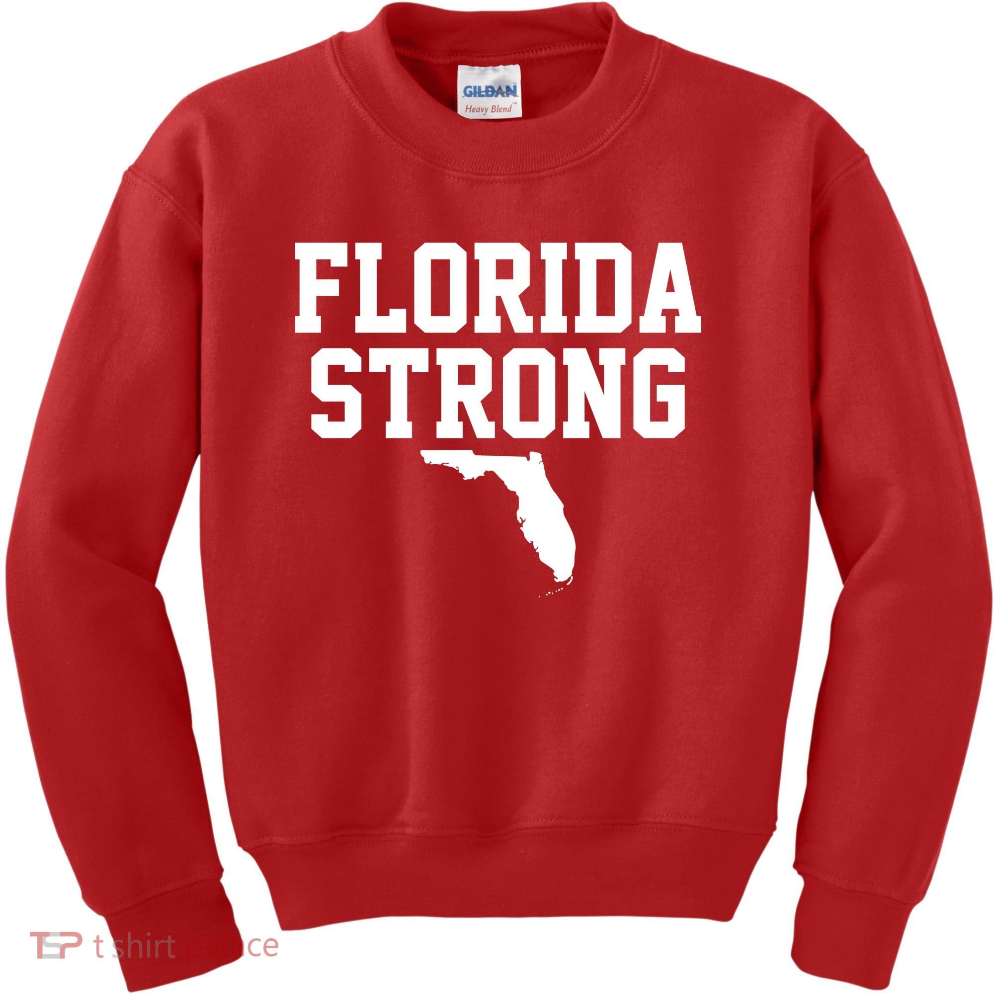 Florida Strong Awareness Hurricane Milton Kids Sweatshirt