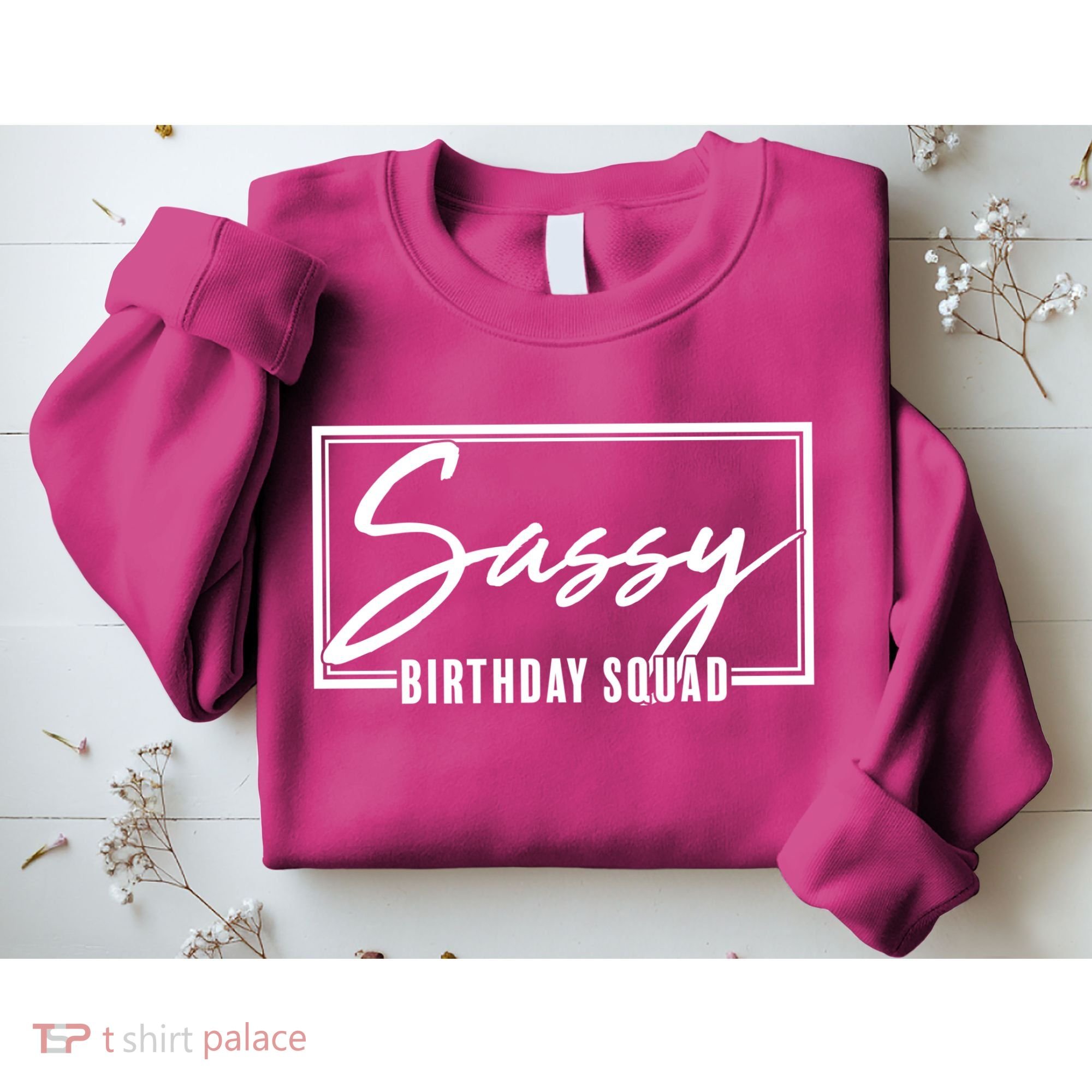 Funny Sassy Birthday Squad Matching Group Shirts Sweatshirt