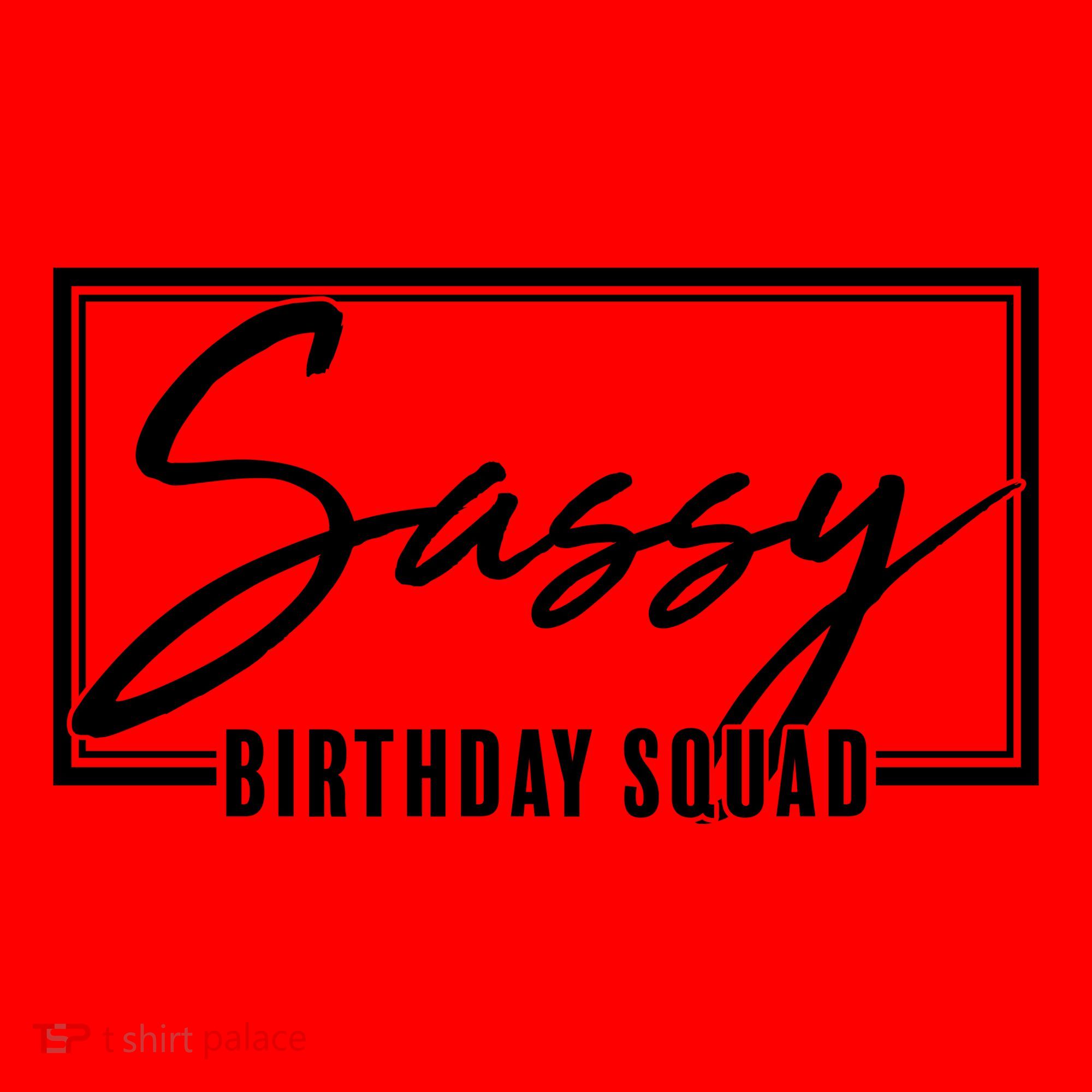 Funny Sassy Birthday Squad Matching Group Shirts Santa Hat
