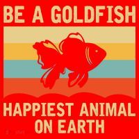 Funny Soccer Be A Goldfish Ted Coach Motivation Lasso Santa Hat thumb 1