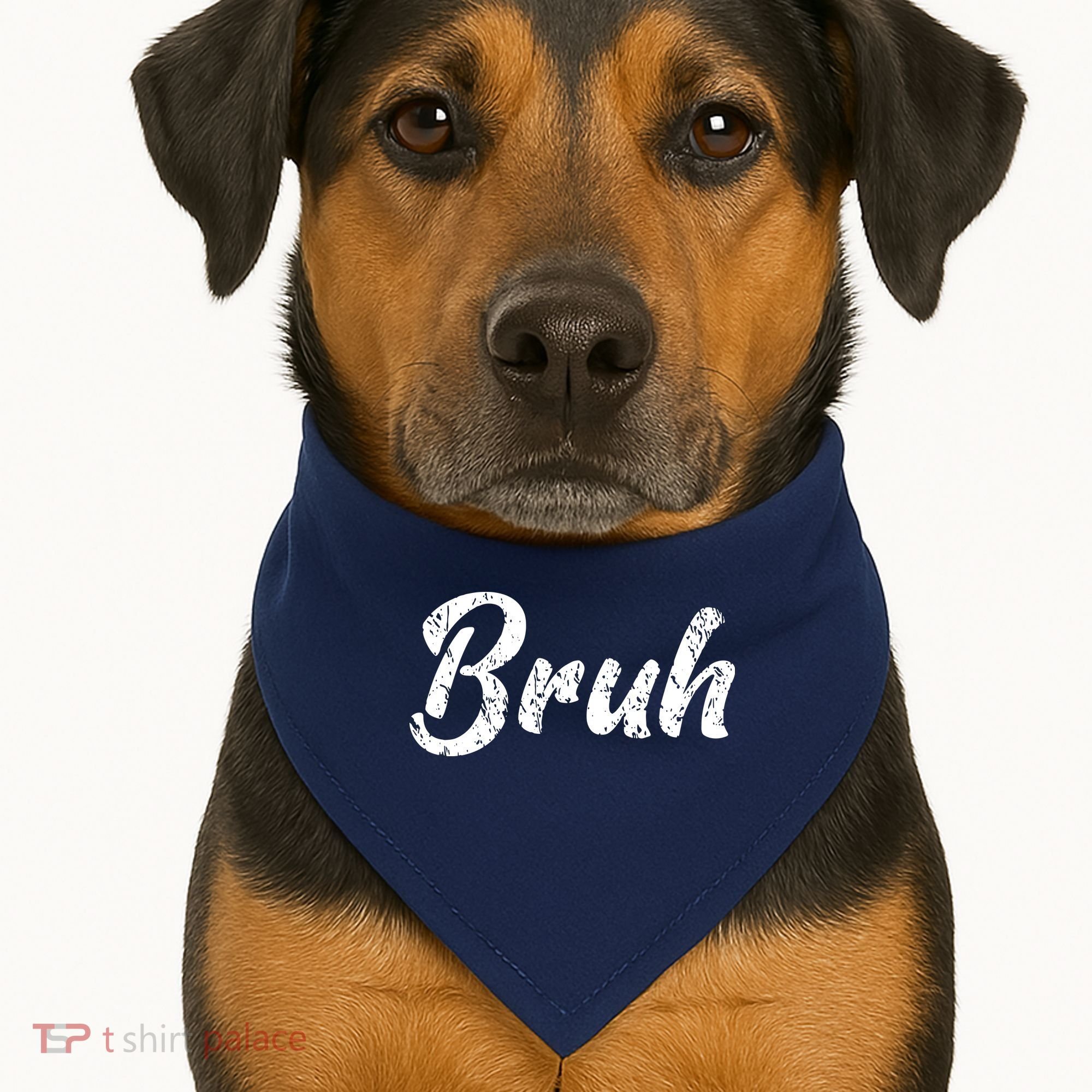 Fresh Seriously Bruh Brah Bro Dude Hip Hop Urban Slang USA-Made Doggie Bandana