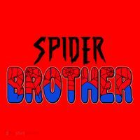 Funny Spider Brother Matching Family Shirts Santa Hat thumb 1