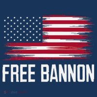 Free Steve Bannon Hat thumb 2
