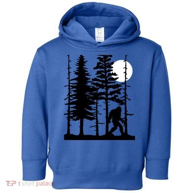 For Sasquatch Believers Gift Toddler Hoodie