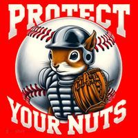 Funny Squirrel Catcher Protect Your Nuts Baseball Lover Gift Santa Hat thumb 1