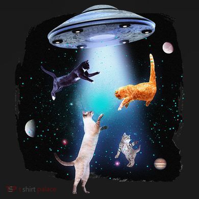 Funny Space Cats Abduction Whimsical Ufo Design 16 in Basic Backpack