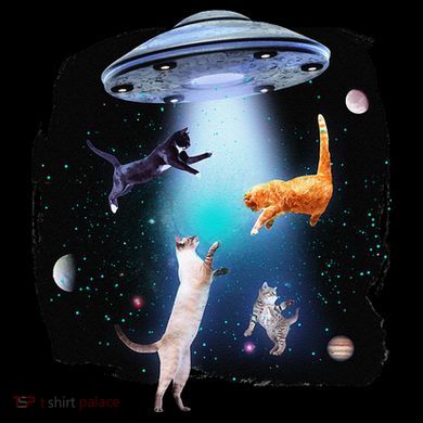 Funny Space Cats Abduction Whimsical Ufo Design Kids Colorblock Raglan Jersey