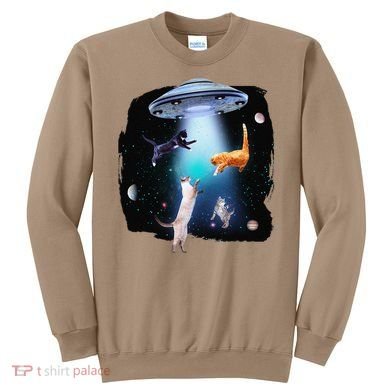 Funny Space Cats Abduction Whimsical Ufo Design Sweatshirt