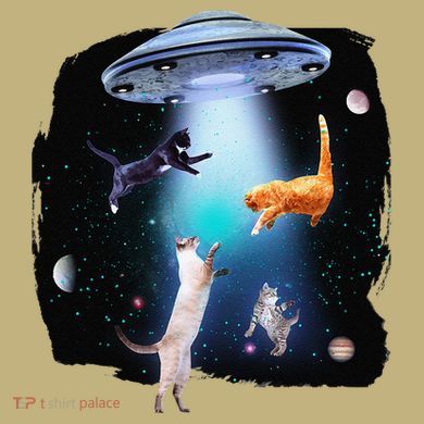 Funny Space Cats Abduction Whimsical Ufo Design Magnet