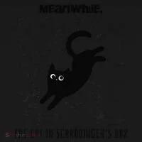 Funny SchröDingerS Cat Quantum Physics Scientists Nerd Toddler Hoodie thumb 2