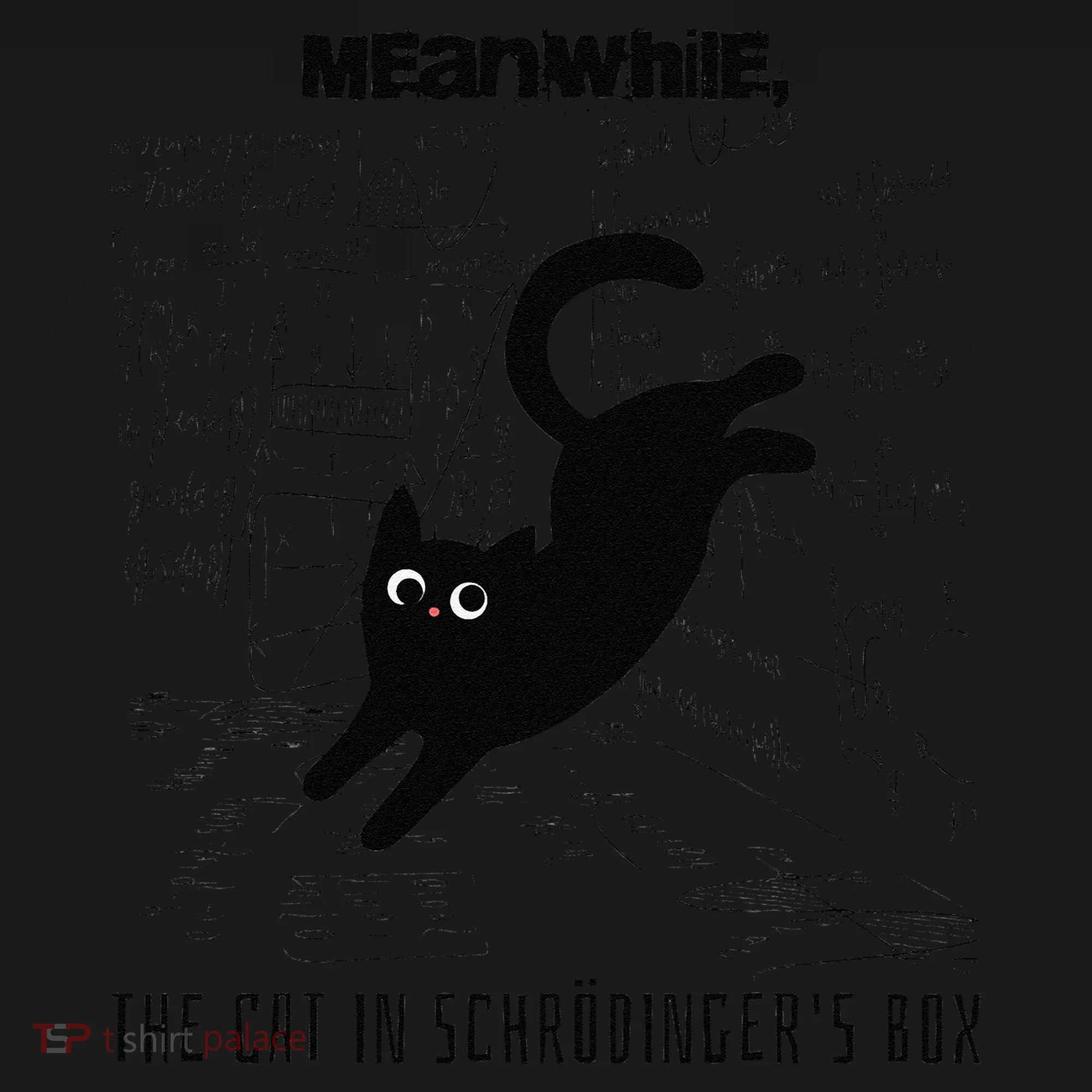 Funny SchröDingerS Cat Quantum Physics Scientists Nerd Toddler Hoodie