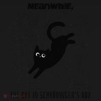 Funny SchröDingerS Cat Quantum Physics Scientists Nerd Tank Top thumb 6