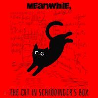 Funny SchröDingerS Cat Quantum Physics Scientists Nerd Santa Hat thumb 1