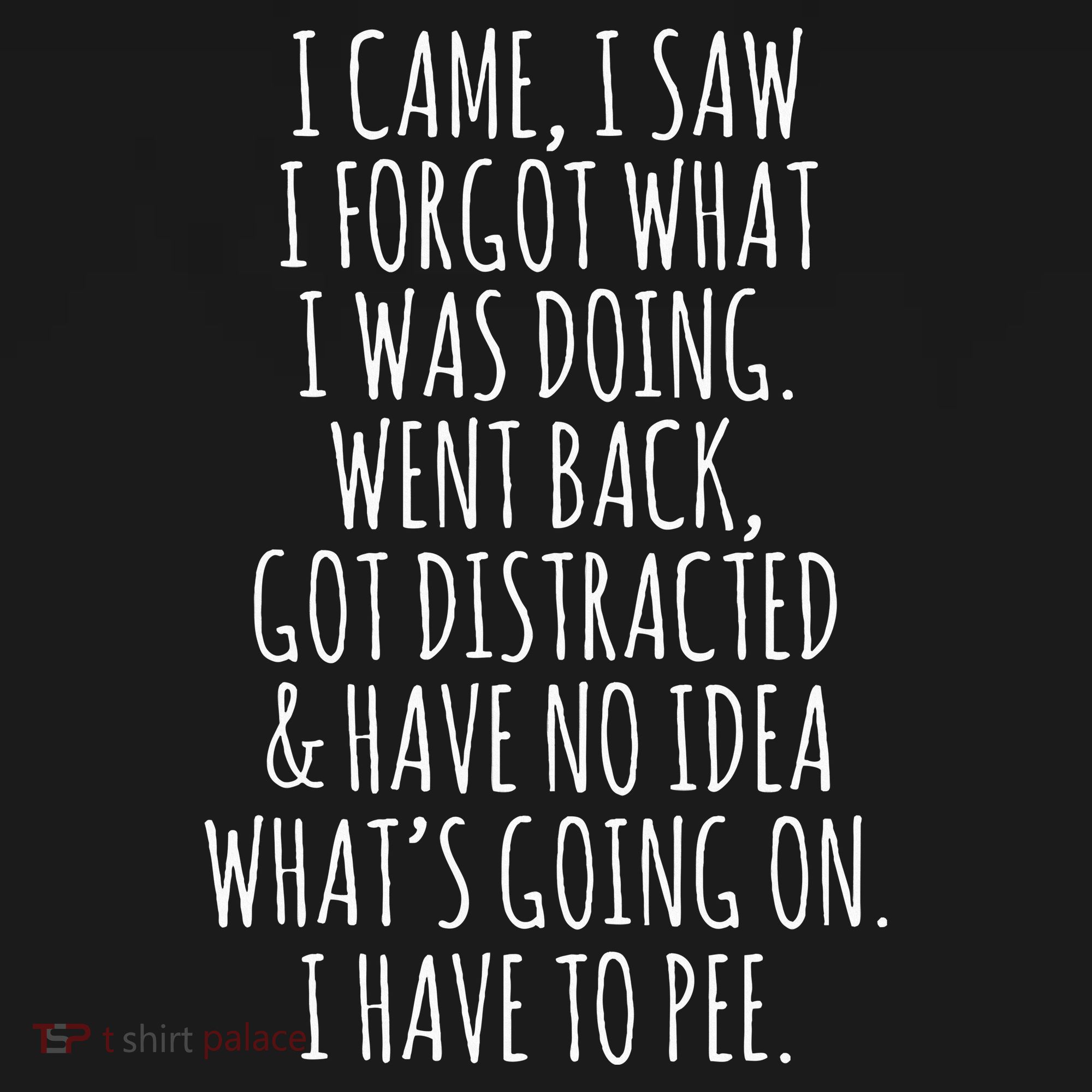 Funny Senior Citizen I Came I Saw I Forgot What I Was Doing T-Shirt