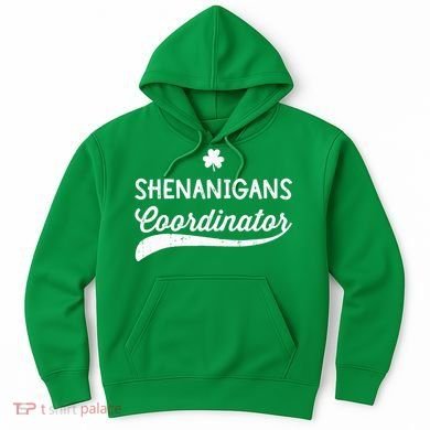 Funny Shenanigans Coordinator For St Patricks Day Outfit Hoodie