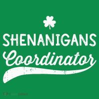 Funny Shenanigans Coordinator For St Patricks Day Outfit T-Shirt thumb 7